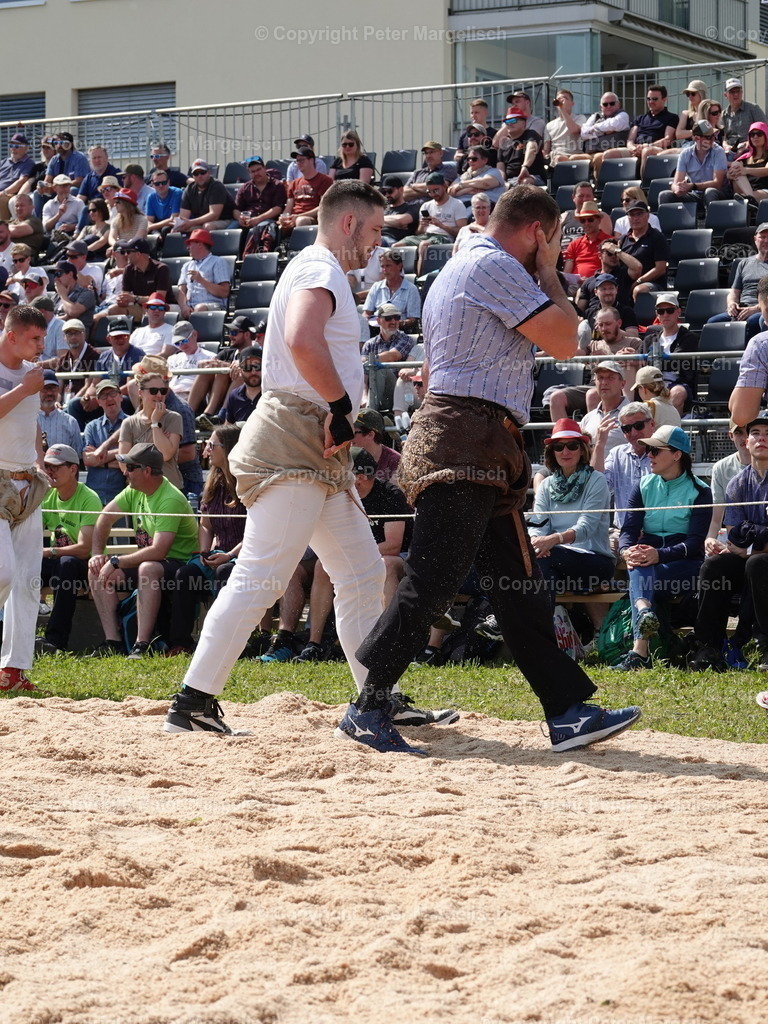 DSC06779 | Schwingen - Realisiert mit Pictrs.com