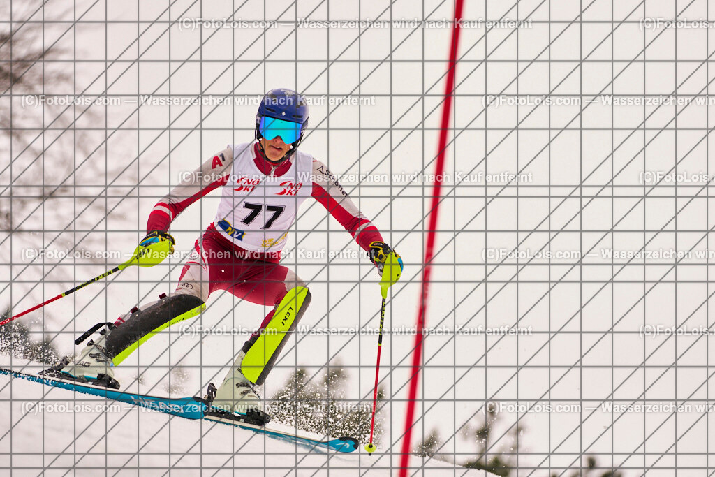 ALP9749_Herrn-FIS-SL-I_SK-Lackenhof_HROVATH Stefan | Internationaler FIS Slalom der Herrn auf der Distelpiste in Lackenhof am Do 13. März 2025.  Österreich, LSV-NÖ, Schiklub Lackenhof (2010).