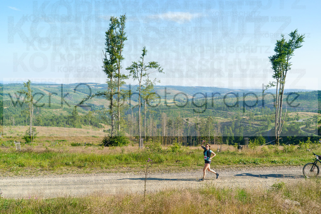 25. Rennsteig-Staffellauf | 170 km Hörschel - Blankenstein