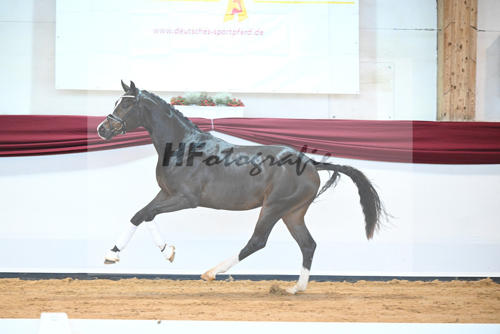Kat-Nr. 31 v. Ferrantino_Lehner_66221847 | hf-fotografie - Realisiert mit Pictrs.com