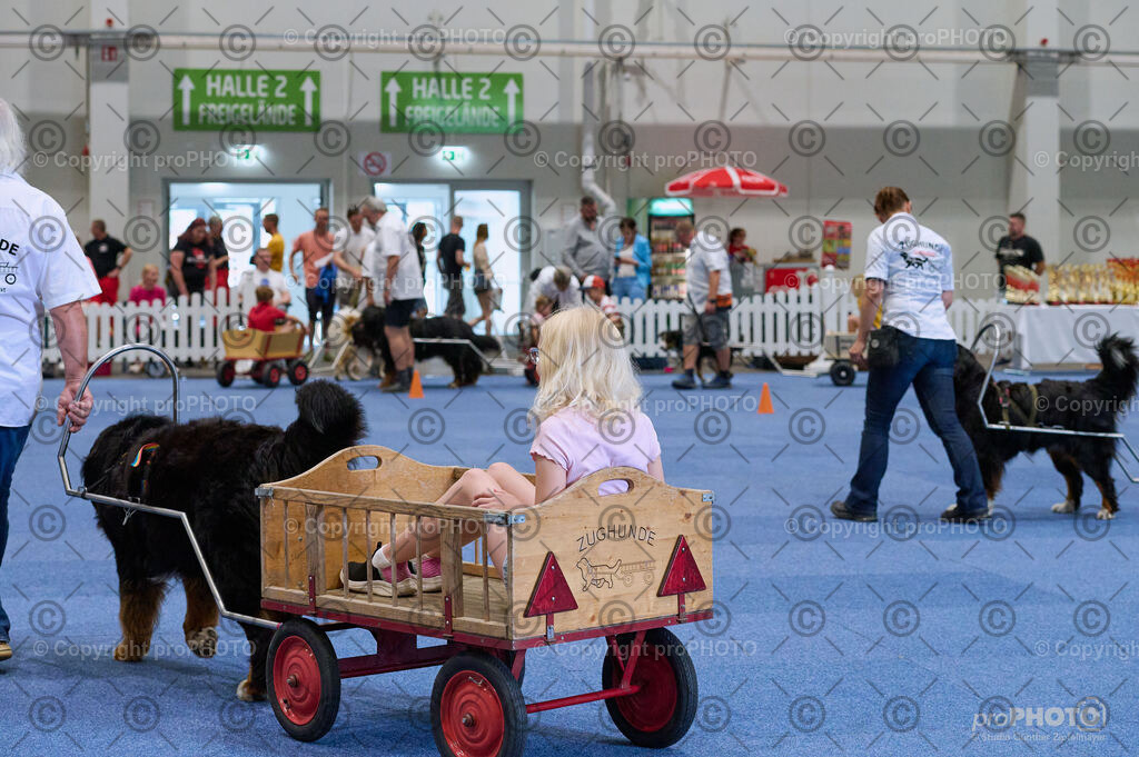 202406_ÖKV-IHA-Tulln24_DSC_4673 | proPHOTO - Realisiert mit Pictrs.com