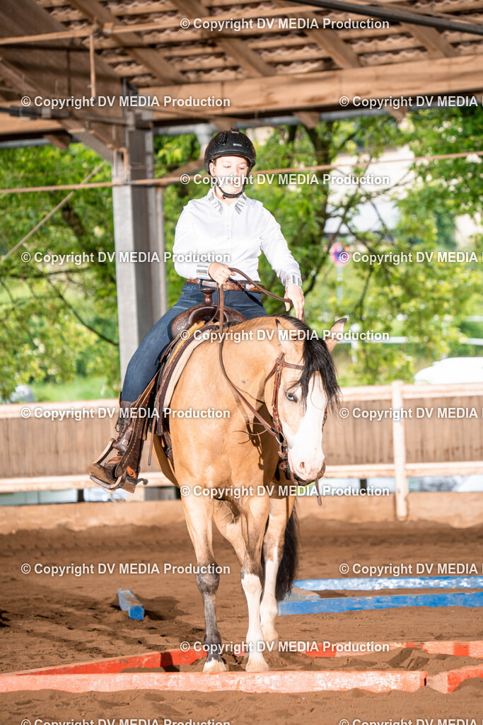 Erbach Tag 1-40 | dv-media-shop - Realisiert mit Pictrs.com