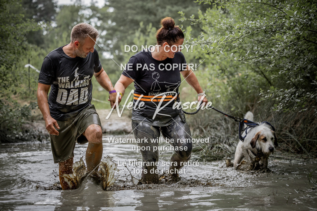 nelerasche_so0800-0930_437 | nelerasche