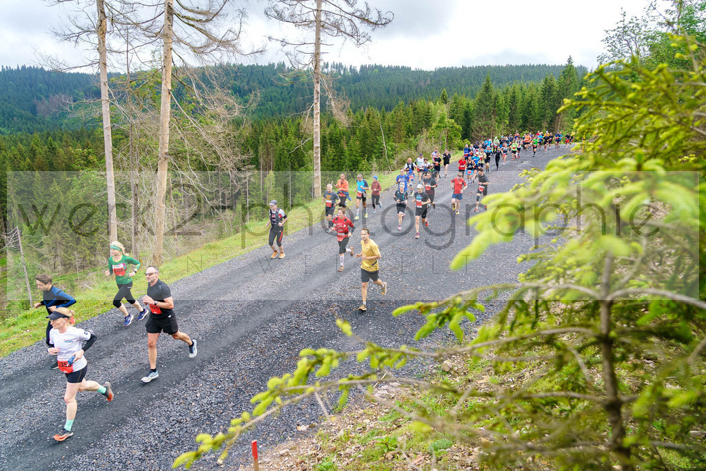 Rennsteiglauf Marathon 2024 | 25. Mai 2024 - 42,2 km von Neuhaus nach Schmiedefeld