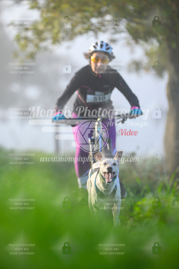 MompixPhotography_20TSB_E3_Bike-119 | PayLife