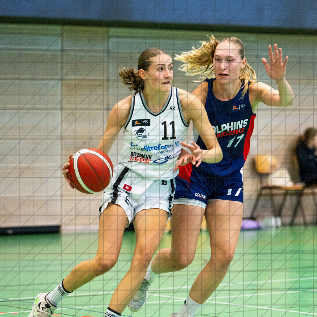 2. DBBL Nord 24/25 | 27.10.2024 | BBC OS vs. TSVE Bielefeld  | 2. DBBL Nord 24/25 | 27.10.2024 | BBC OS vs. TSVE Bielefeld - - - - - CREDIT, www.bullenfotos.de, Martin König, Hörner Weg 40, D-49078 Osnabrück, +4917663732967, Nutzung und Weitergabe nur zu den vereinbarten Zwecken. Presseanfragen an Urheber. Alle Rechte beim Urheber. - - - - - - Realisiert mit Pictrs.com