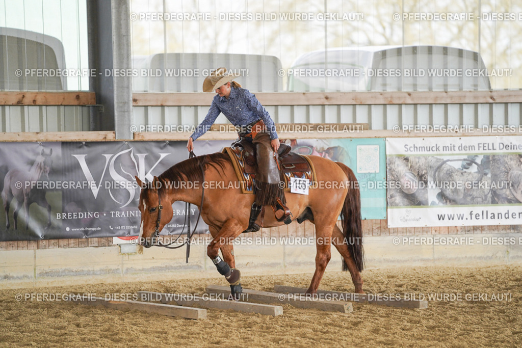 DSC01519 | Pferdegrafie