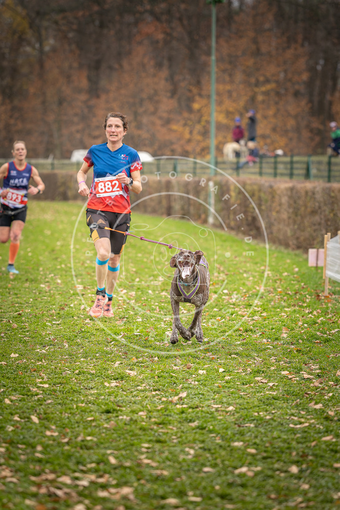CaniXpix_DV3A6827 | Hundefotografie, Tierfotograf, Pfotenfotografie, Fotoshooting Hund, Hunde Portrait, Hundesport, Hundeportraits, Heideshooting, Hunde, Sportfotograf, Hundefotograf, Turnierhundsport, THS,  - Realisiert mit Pictrs.com