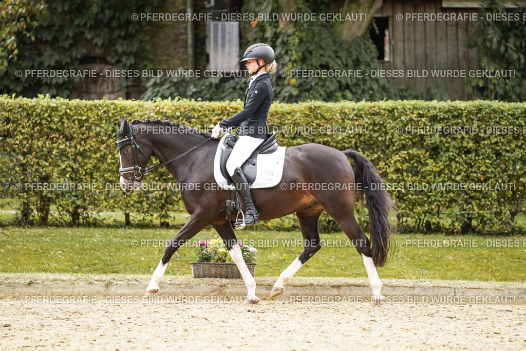 DSC00116 | Pferdegrafie