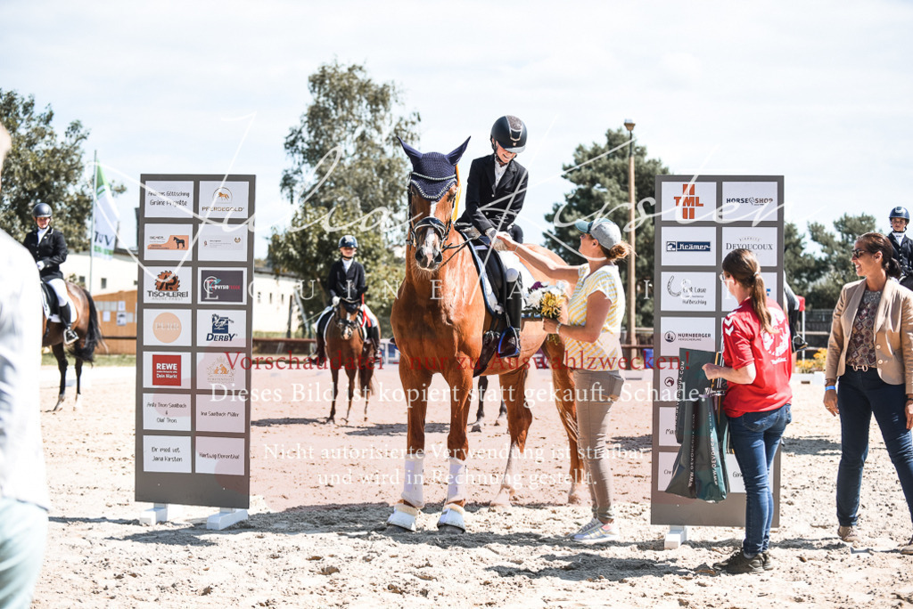 DSC_8780 | Pferde- und Turnierfotografie in Westsachsen. Pferdeportraits, Auftragszeichnungen und intuitive Kunst.