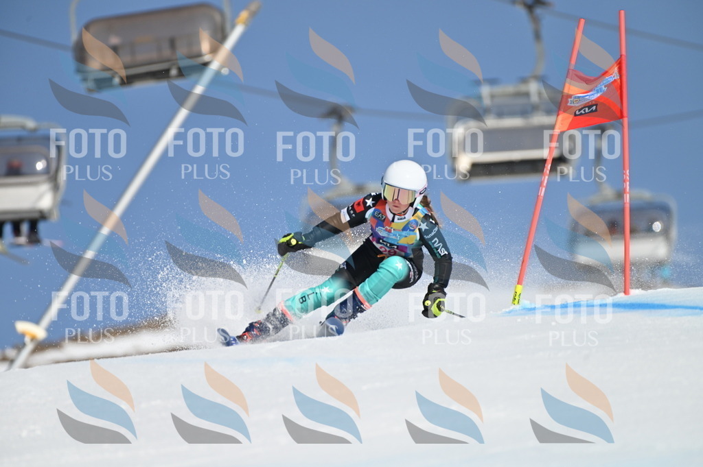 BGV_8122 | holidayphoto