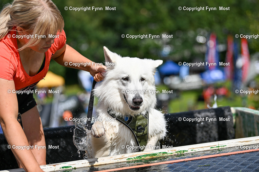 DSC_1356 | Hallo und herzlich Willkommen auf meiner Shop-Seite Fynn Most.

Ich wünsche Dir viel Spaß beim stöbern durch die Bilder, wenn Du Fragen hast oder Bilder vermisst, kannst du mir gerne eine Nachricht schreiben. - Realisiert mit Pictrs.com