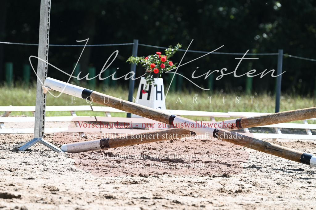 DSC_7099 | Pferde- und Turnierfotografie in Westsachsen. Pferdeportraits, Auftragszeichnungen und intuitive Kunst.