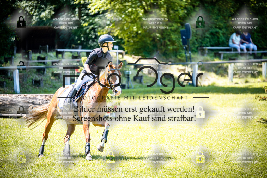 2026-05 - Melle Oldendorf-1-0050 | Entdecke hochwertige Reitturnierfotos von Foto Oger. Professionell, emotional und authentisch – jetzt Lieblingsmomente im Shop bestellen.Deutschlandweite Turnierfotografie. - Realisiert mit Pictrs.com