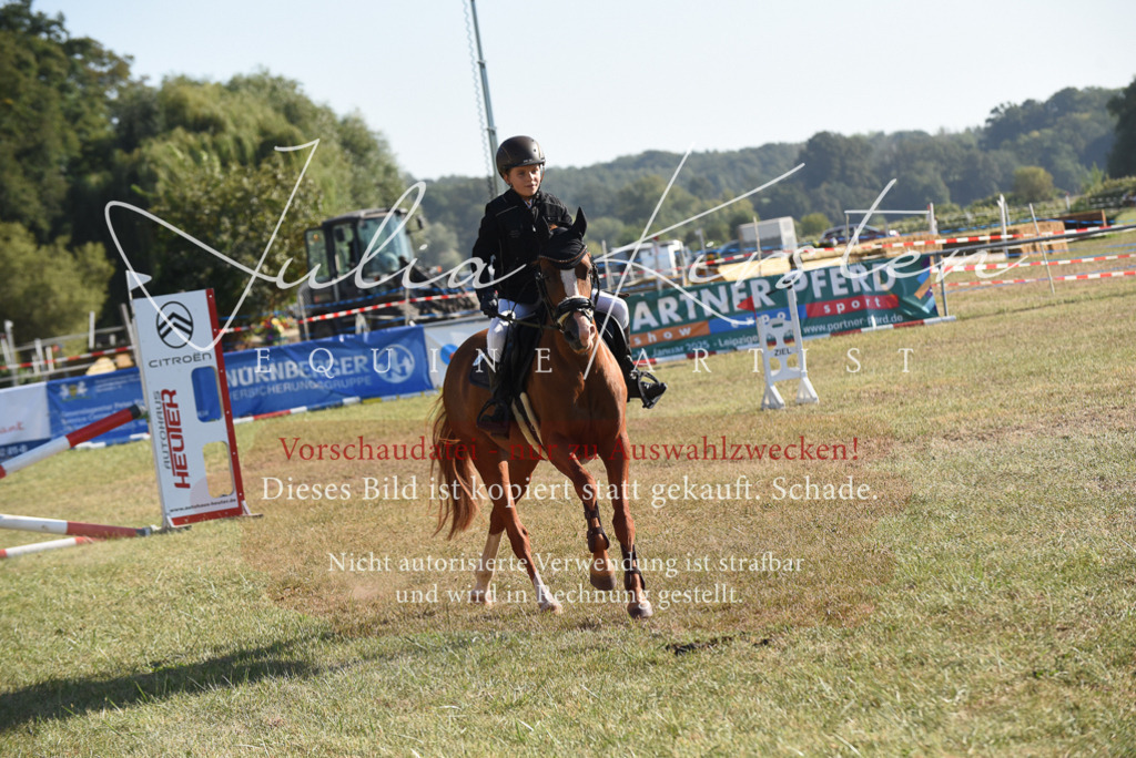DSC_5691 | Pferde- und Turnierfotografie in Westsachsen. Pferdeportraits, Auftragszeichnungen und intuitive Kunst.