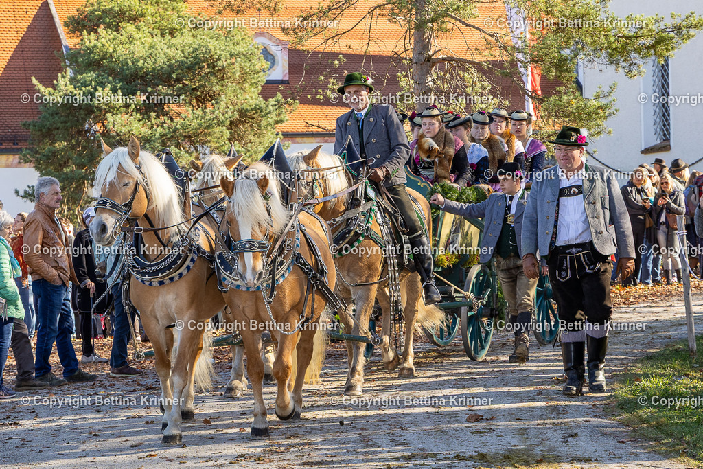 LBT25-1254 | foto-bettina-krinner - Realisiert mit Pictrs.com
