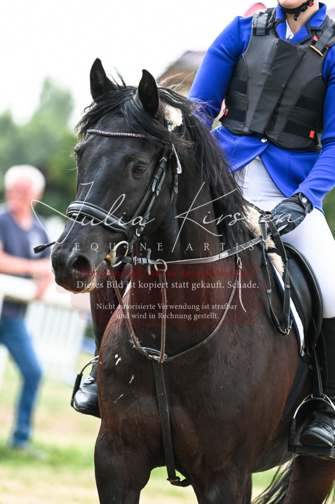DSC_8985 | Pferde- und Turnierfotografie in Westsachsen. Pferdeportraits, Auftragszeichnungen und intuitive Kunst.