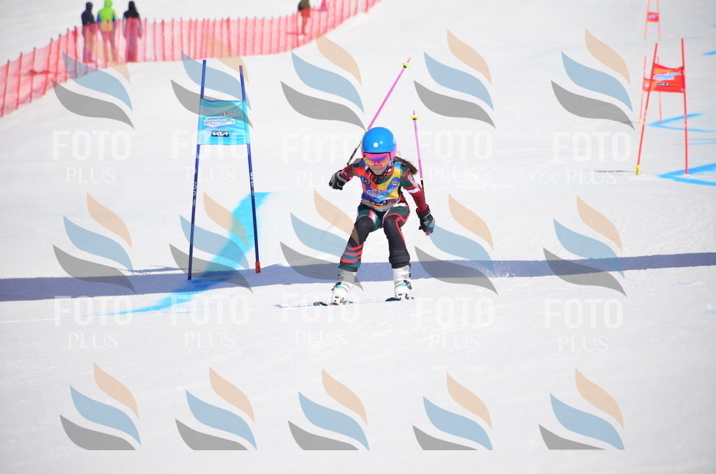 VR4_9866 | holidayphoto