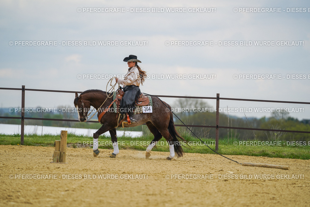 DSC07409 | Pferdegrafie