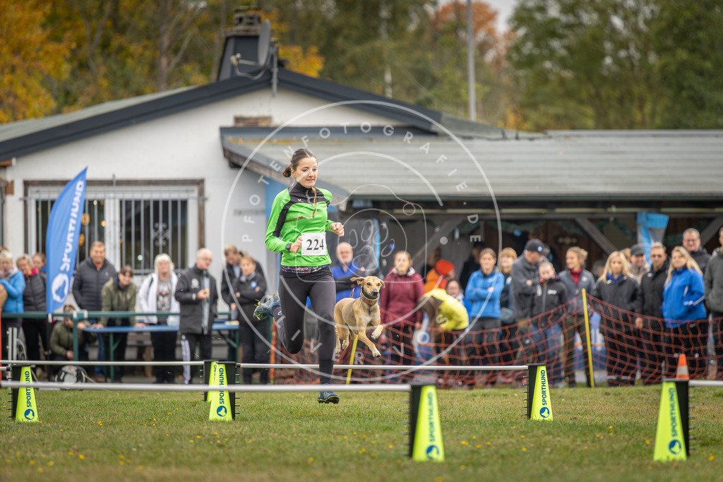 Pfotenfotografie_DV3A3136 | Hundefotografie, Tierfotograf, Pfotenfotografie, Fotoshooting Hund, Hunde Portrait, Hundesport, Hundeportraits, Heideshooting, Hunde, Sportfotograf, Hundefotograf, Turnierhundsport, THS,  - Realisiert mit Pictrs.com