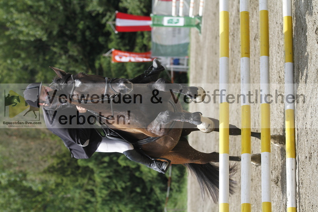 _MG_5182 | equestrian-live-com