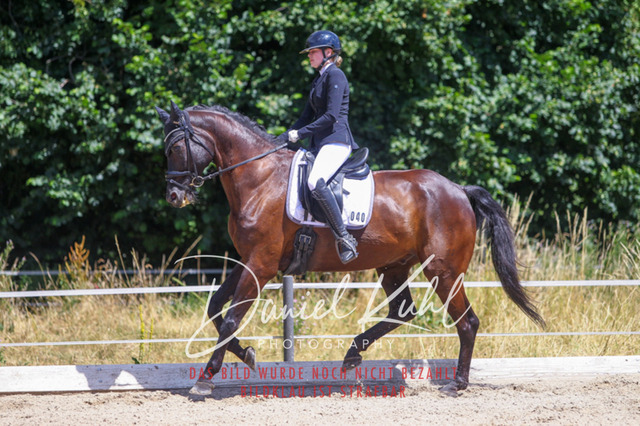 DKP46410 | Turniersportfotografie; Pferdefotografie; Dressurfotografie