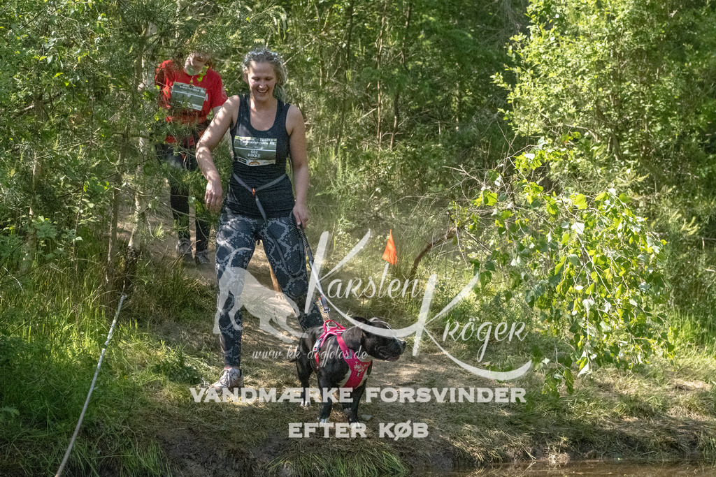 1537DKK991535 | kk-dogfotos