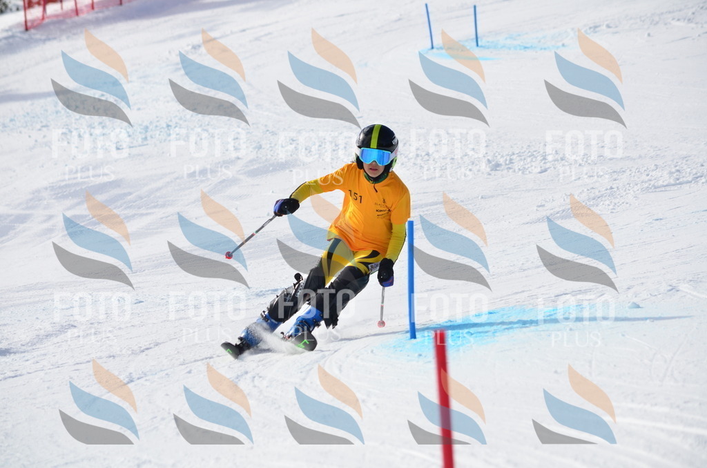 C7762 | holidayphoto