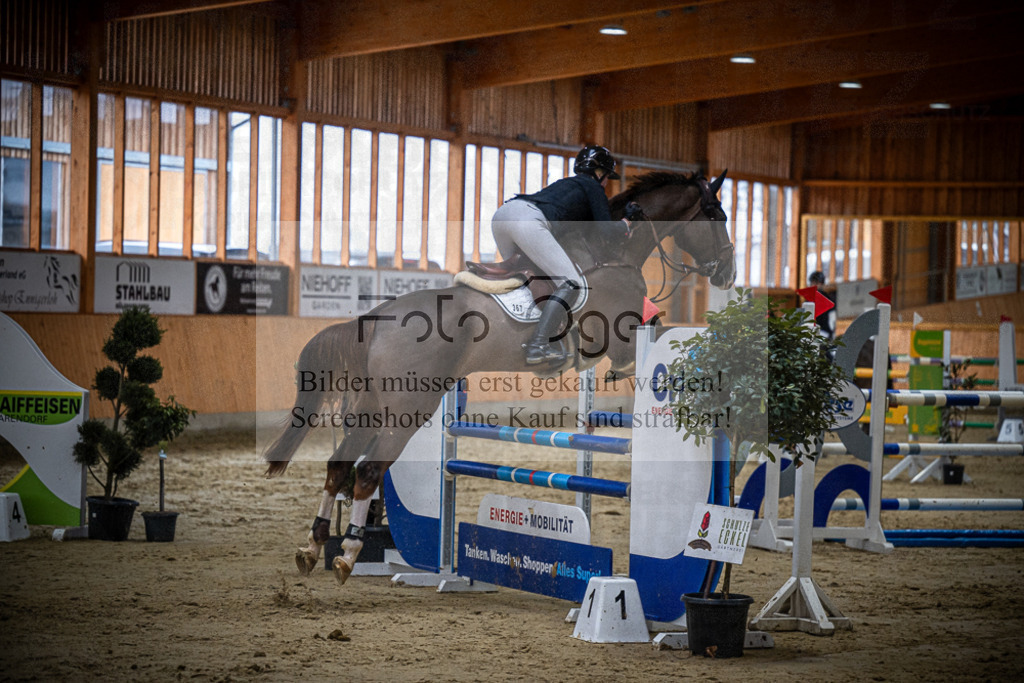 DOS_0769 | Entdecke hochwertige Reitturnierfotos von Foto Oger. Professionell, emotional und authentisch – jetzt Lieblingsmomente im Shop bestellen.Deutschlandweite Turnierfotografie. - Realisiert mit Pictrs.com