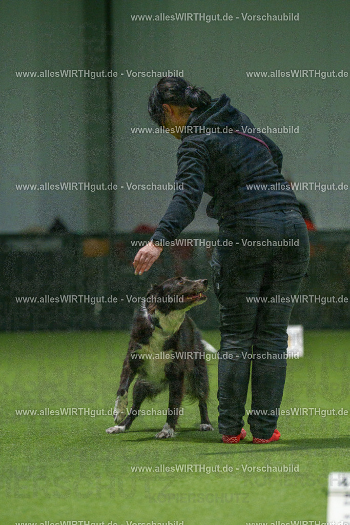 7R507273 | Professionelle Tierfotografie in Mönchengladbach von Daniel Wirth (allesWIRTHgut). Liebevolle & natürliche Bilder von Hunden & Katzen für unvergessliche Erinnerungen.