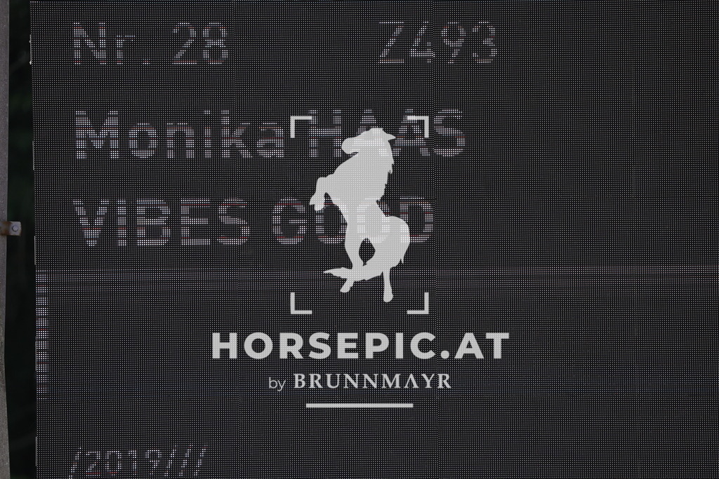 0P6A6410 | Willkommen bei Brunnmayr - Design & Fotografie – Ihrem Spezialisten für Reitturniere und Pferdeveranstaltungen in Oberösterreich, Salzburg und Bayern! Seit über 17 Jahren sind wir leidenschaftlich dabei.