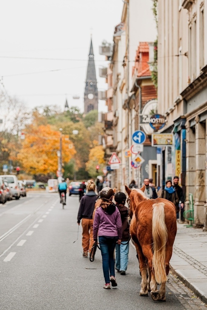 XS1B2140-Verbessert-RR_2048 | Stephan Böhlig fotografiert seit Jahren eines der schönsten Viertel Dresdens - die Dresdner Neustadt. - Realisiert mit Pictrs.com
