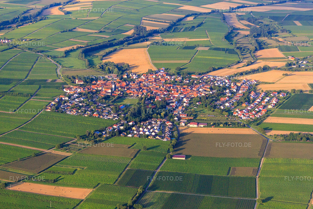 Luftbild: Ortsansicht von Westen im Ortsteil Mörzheim in Landau im Bundesland Rheinland-Pfalz in Deutschland. Foto: IMG_51343.jpg vom 04.08.2012 durch Werner Riehm/FLY-FOTO.deAuflösung des Originals: 4752 x 3168 px