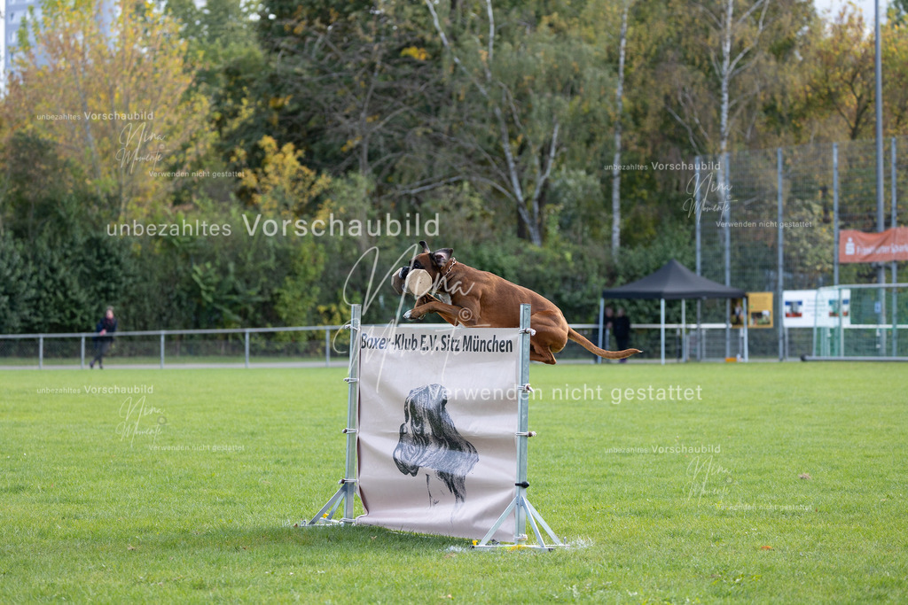 _16A6768 | Einzigartige Fotos von Hunden & Menschen –Actionfotos, Portraits, Vereinsaufnahmen & Paarshootings – authentisch, lebendig & mit Herz.
