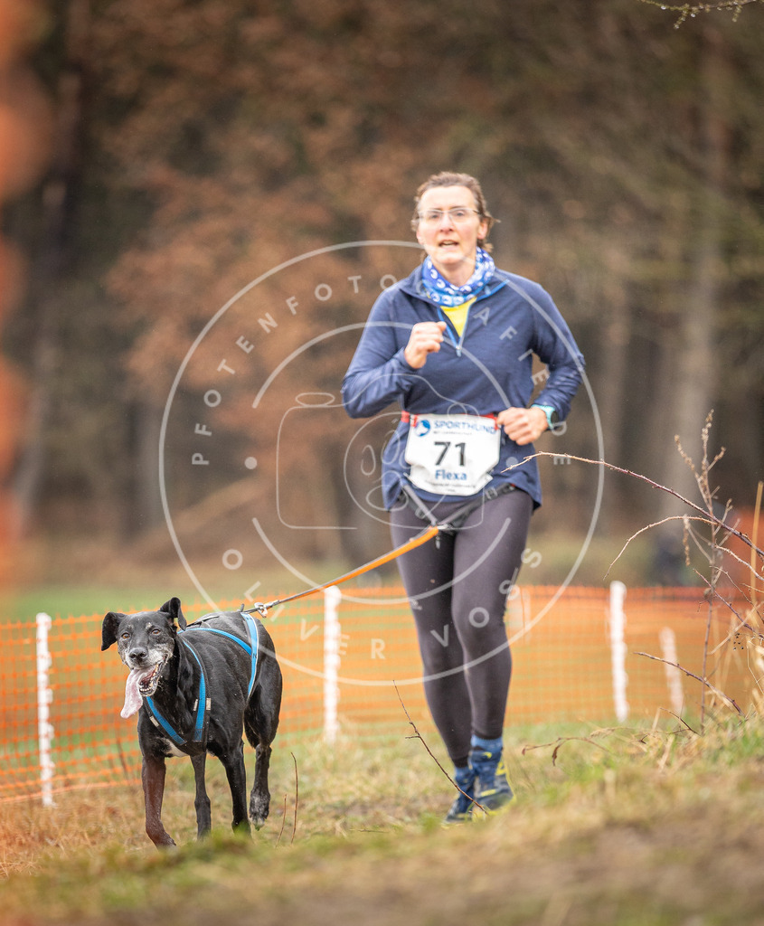 DV3A0218 | Hundefotografie, Tierfotograf, Pfotenfotografie, Fotoshooting Hund, Hunde Portrait, Hundesport, Hundeportraits, Heideshooting, Hunde, Sportfotograf, Hundefotograf, Turnierhundsport, THS,  - Realisiert mit Pictrs.com