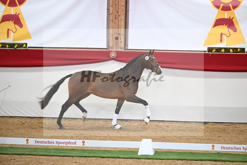Kat.-Nr. 41 v. Baccardi_s Best_Beckmann_2250017 | hf-fotografie - Realisiert mit Pictrs.com