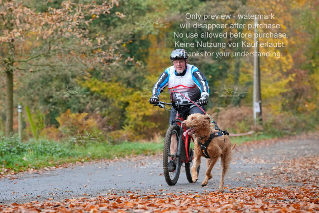 Bike_So-166 | stephaniefillaphotographie - Realisiert mit Pictrs.com