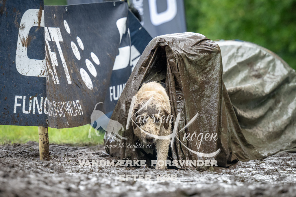 1159_ZZ90598 | kk-dogfotos