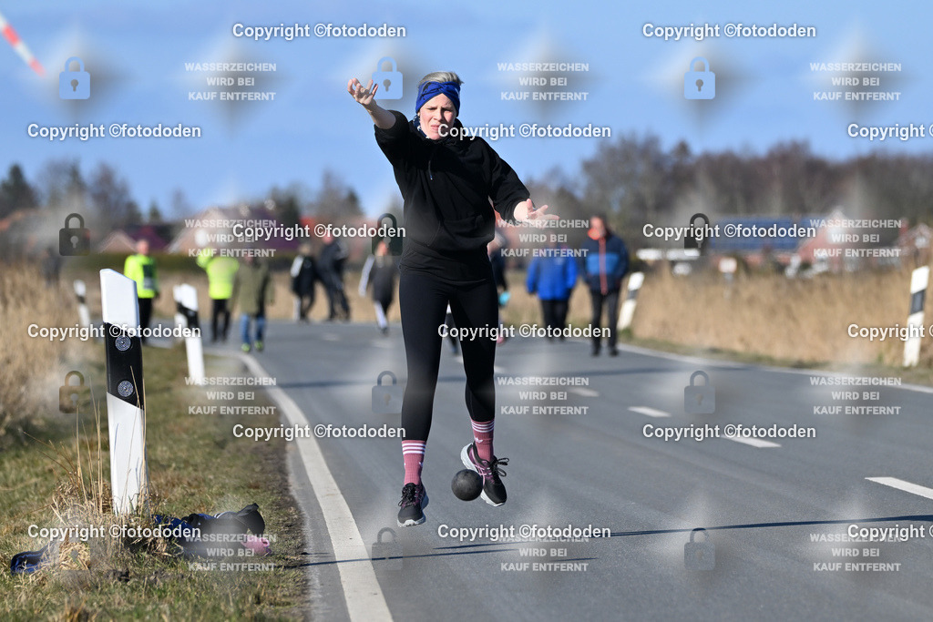 DSC_2904 | Hilke Barfknecht / Westeraccum 