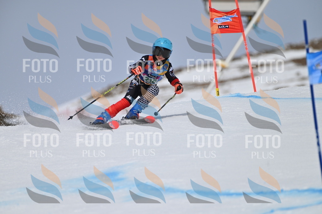 BGV_4198 | holidayphoto