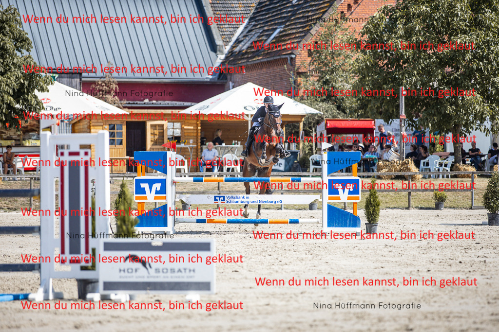 BK1A6887 | Turnierbilder Turnierfotos Nina Hüffmann Turnierfotografie Pferdefotografie Tierzeichnung Haustierzeichnung Pferdezeichnung Hundezeichnung Videograf  - Realisiert mit Pictrs.com