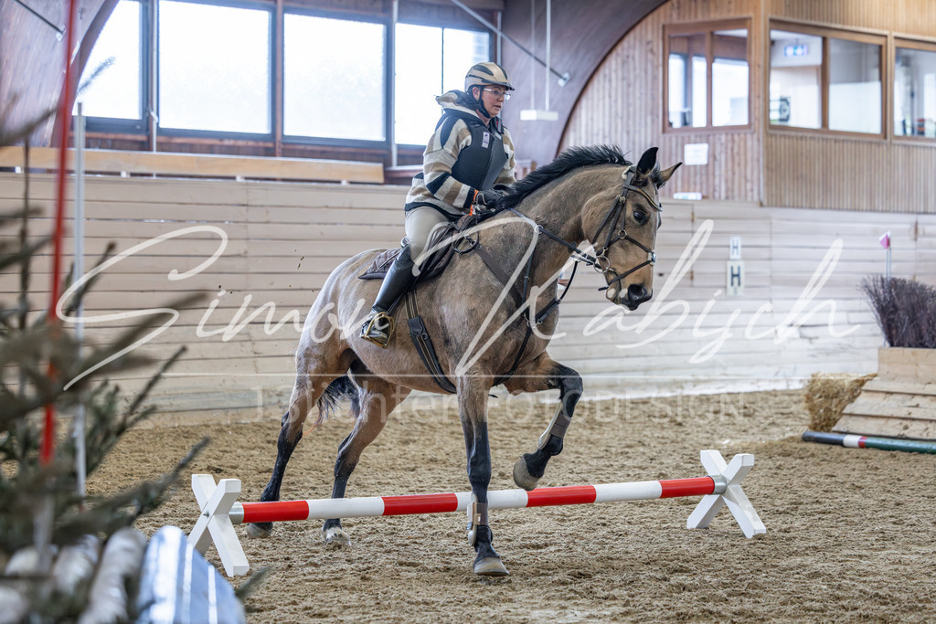 20260221-_3LI0389 | Tierfotografie Pferde, Hunde, Katzen, Haustiere.
Turnierfotografie Reitturniere, Reiten, Springreiten, Dressur in Hanau, dem Main-Kinzig-Kreis und dem Rhein-Main- Gebiet um Frankfurt