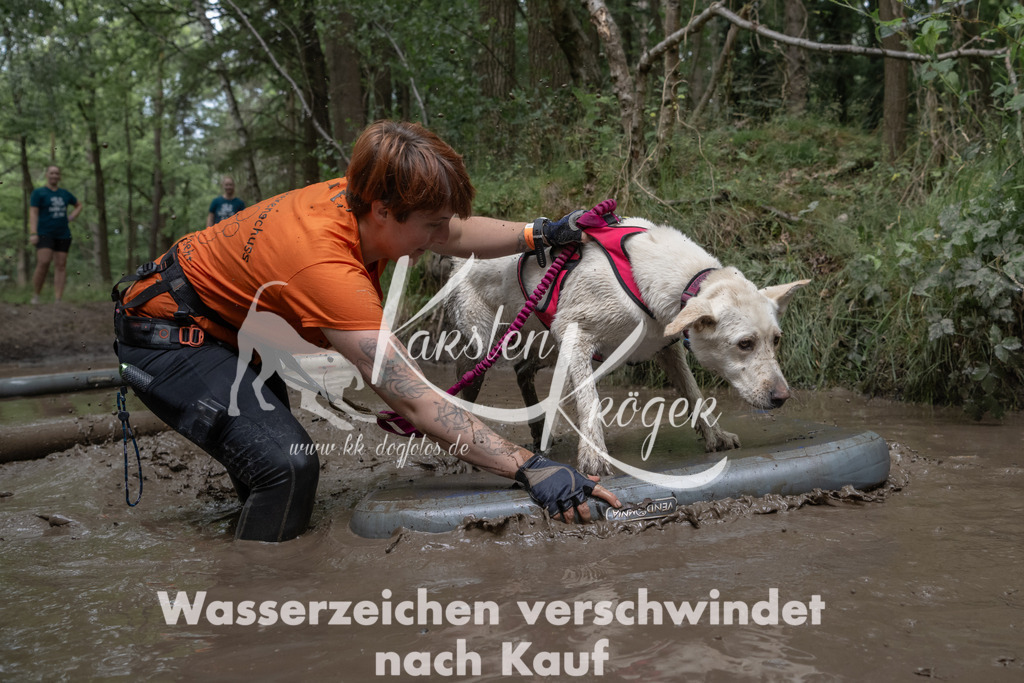 1346_ZZ95853 | kk-dogfotos