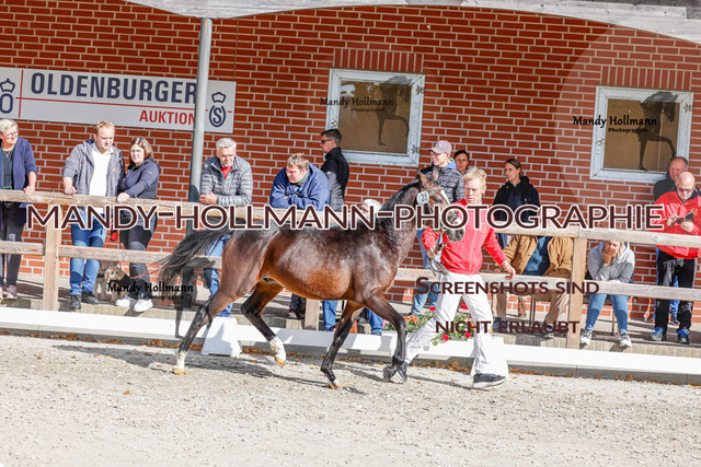 DR (12 von 1791) | mandyhollmannphotographie