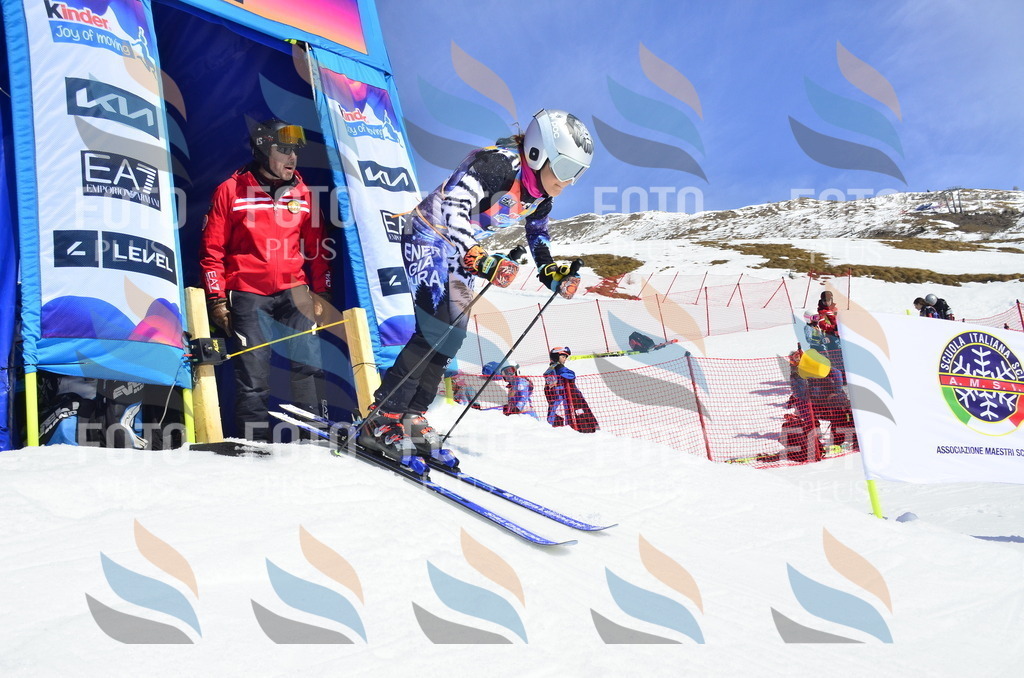 _ELE0813 | holidayphoto