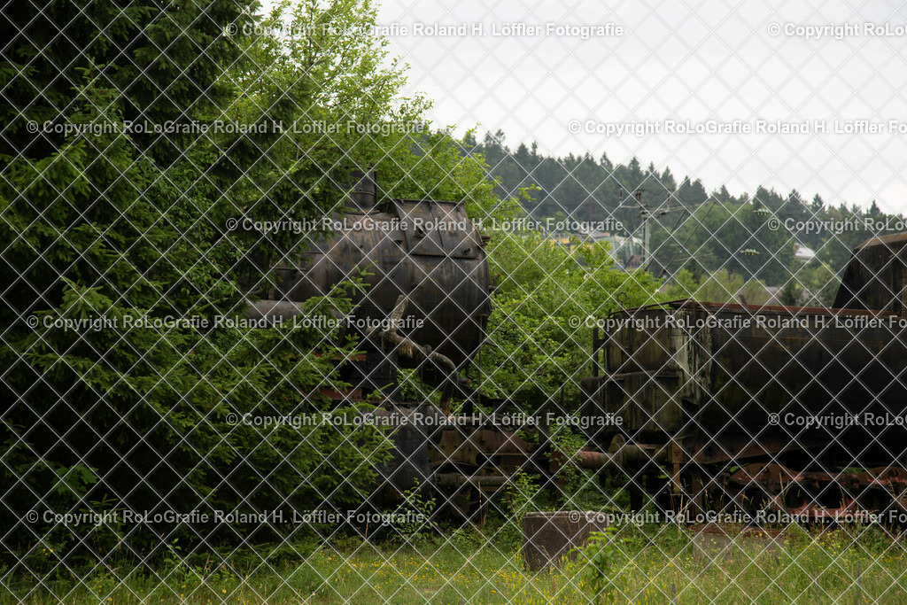 Eisenbahnnostalgie_13 | Alte Lokomotiven auf dem Abstellgleis zwischen Bäumen - Realisiert mit Pictrs.com