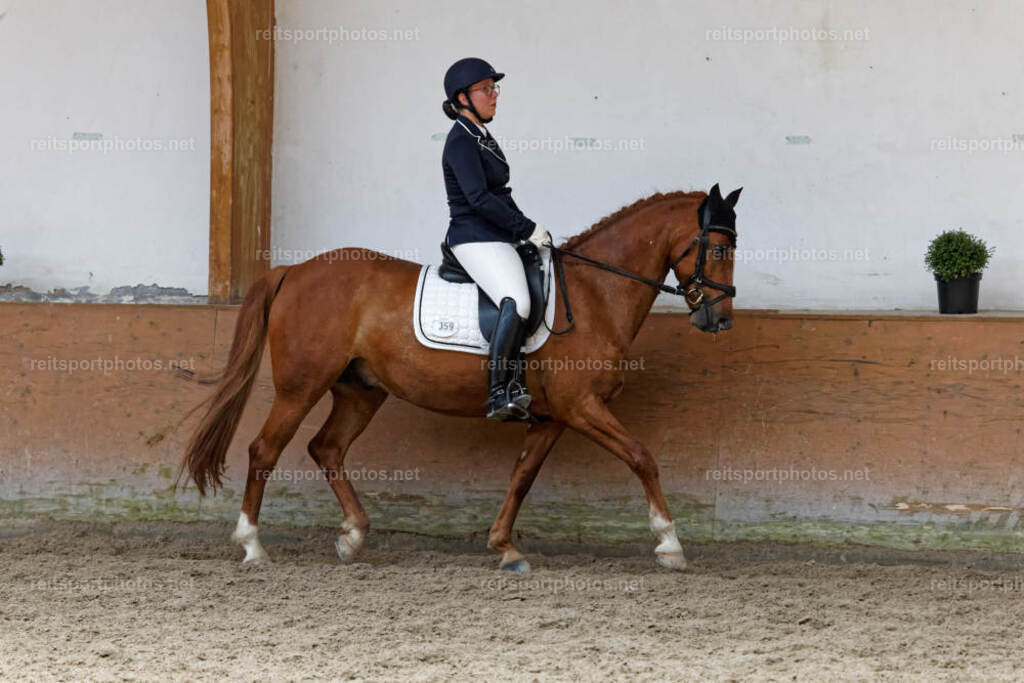 JHE32684 | JoYa Fotografie - Realisiert mit Pictrs.com