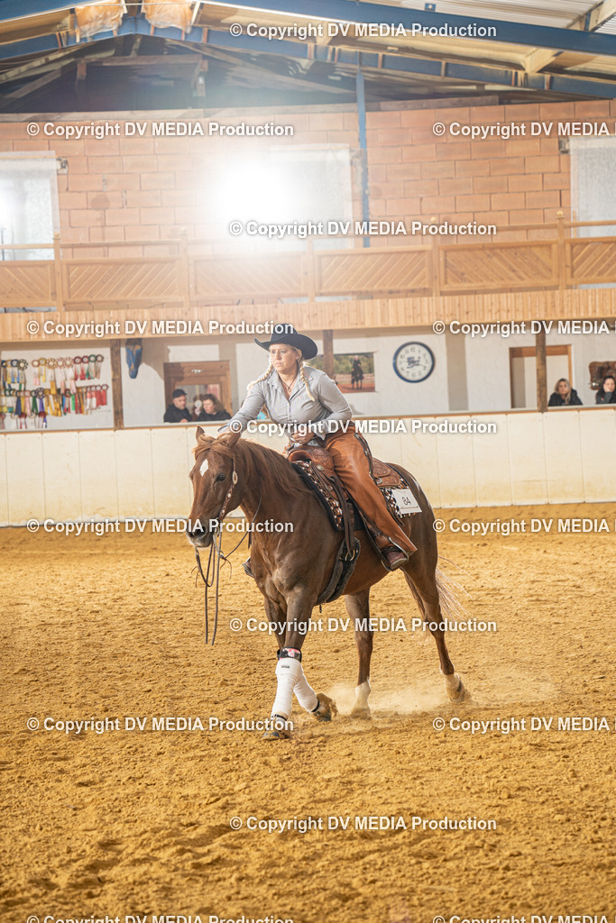 MIT00716 | dv-media-shop - Realisiert mit Pictrs.com