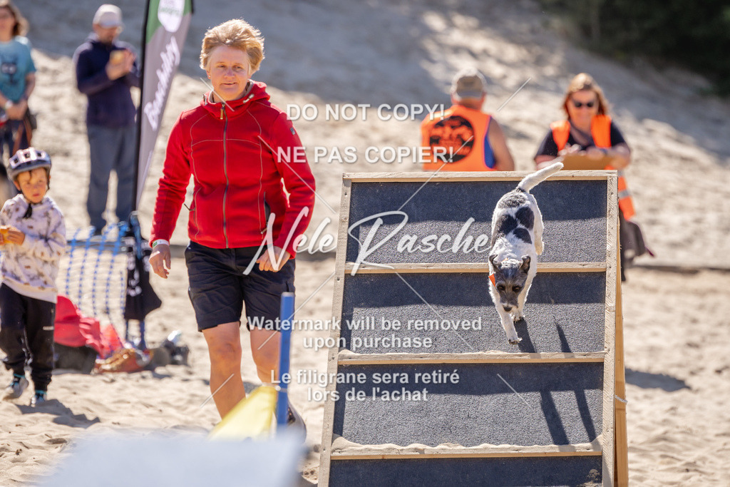 NR__0933 | nelerasche