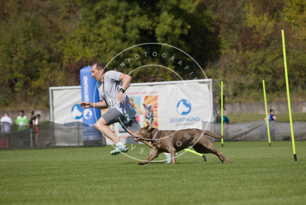0L8A2596 | Hundefotografie, Tierfotograf, Pfotenfotografie, Fotoshooting Hund, Hunde Portrait, Hundesport, Hundeportraits, Heideshooting, Hunde, Sportfotograf, Hundefotograf, Turnierhundsport, THS,  - Realisiert mit Pictrs.com